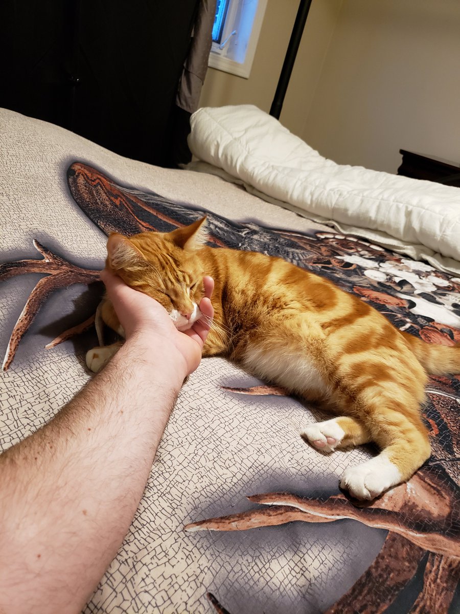 AuthorJFuller's tweet image. Hobbs just wants all the love