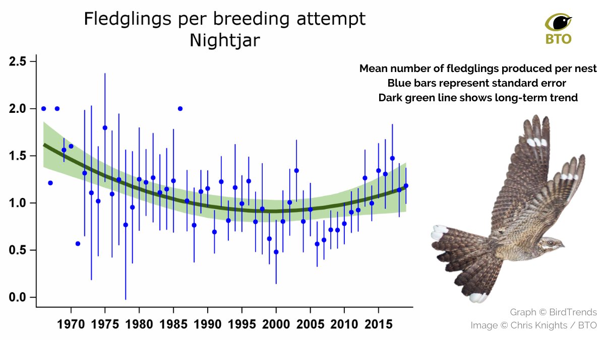 A steep decrease in the number of Nightjar fledglings per nest between the 1970s &amp; 2000s has not been fully reversed by the slight improvement in the last ten years. Conserving suitable open ground habitat such as lowland heathland is critical.

#SpringWatch <a href="/BBCSpringwatch/">BBC Springwatch</a>