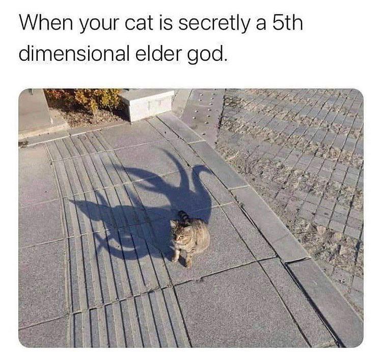 WholesomeMeme's tweet photo. https://t.co/OoLQkmKFnT