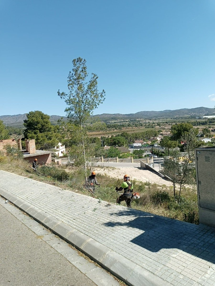 MEDI AMBIENT 🌳| L’Ajuntament de #LaBisbalDelPenedès neteja 39 parcel·les de titularitat municipal de #LaMiralba.
ℹ️bit.ly/45ErNMD
#BaixPenedès #Penedès