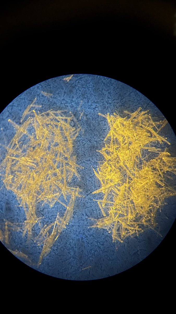 AGruber12's tweet photo. Hey science nerds! I’ve been away trying to get samples and I finally found one of the most exciting bits yet. I’ve been playing around with a sample and it’s morphology is incredible, as well as a brighter emission under UV. This might be the breakthrough I’ve been looking for! https://t.co/Dce7AvpBlk