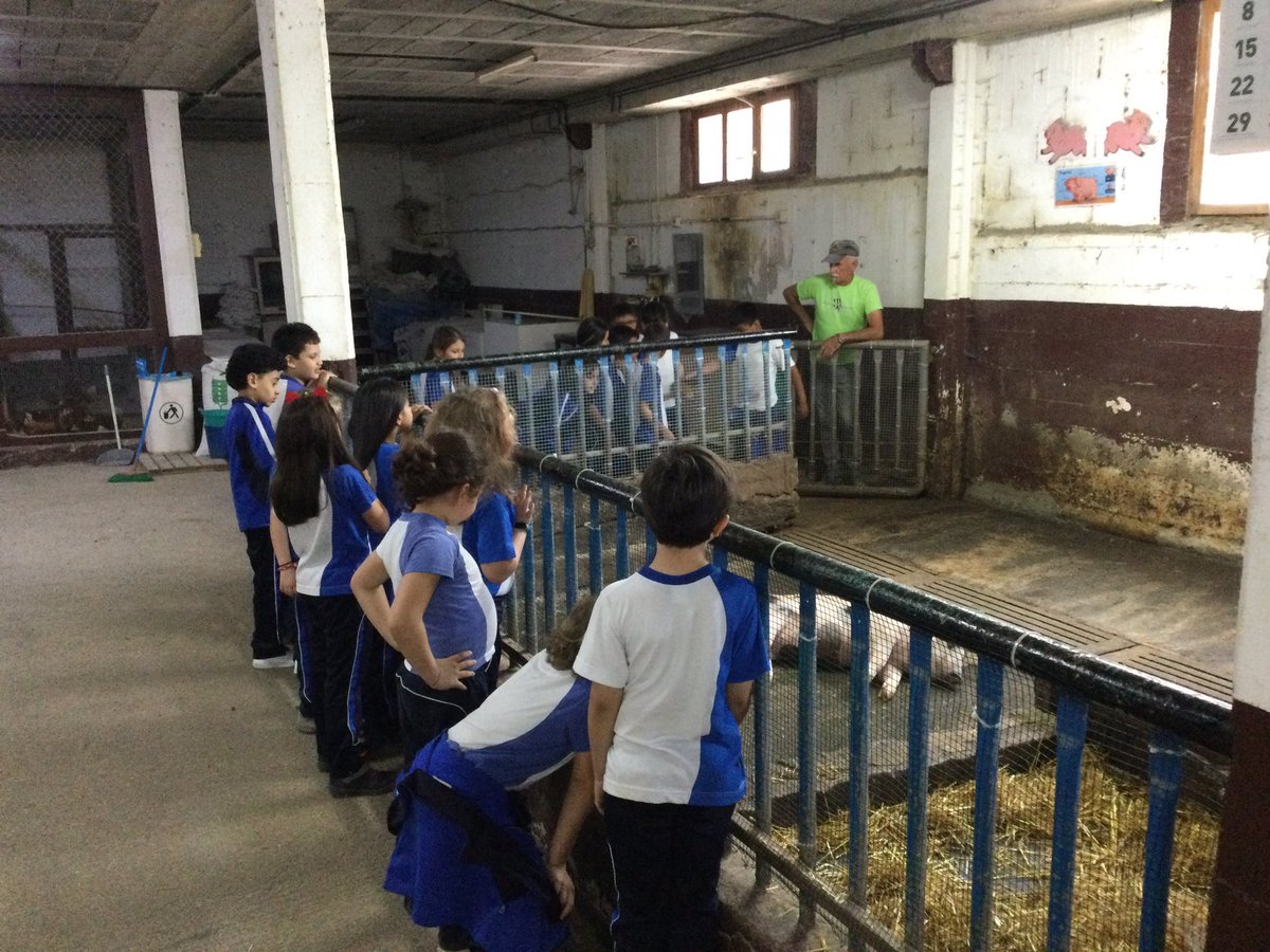 SPALEHENH's tweet photo. #Baratze #lh2 🥳🥳🤩🐄 https://t.co/DaQXRaiIRr