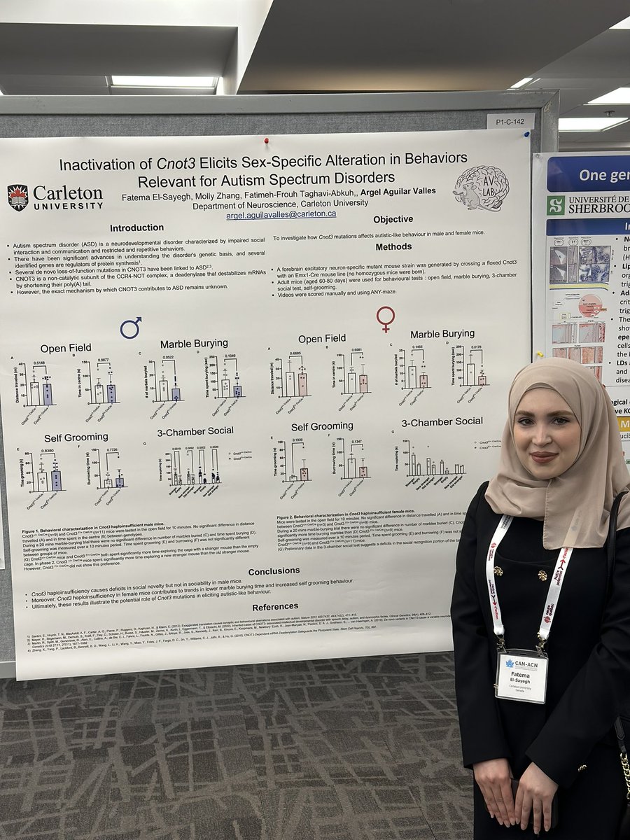 Come see Fatema El Sayegh talk about her work with Cnot3 deficient male and female mice! Happening now at #canacn23 #Neurodiversity #neurodevelopment #WomenInSTEM