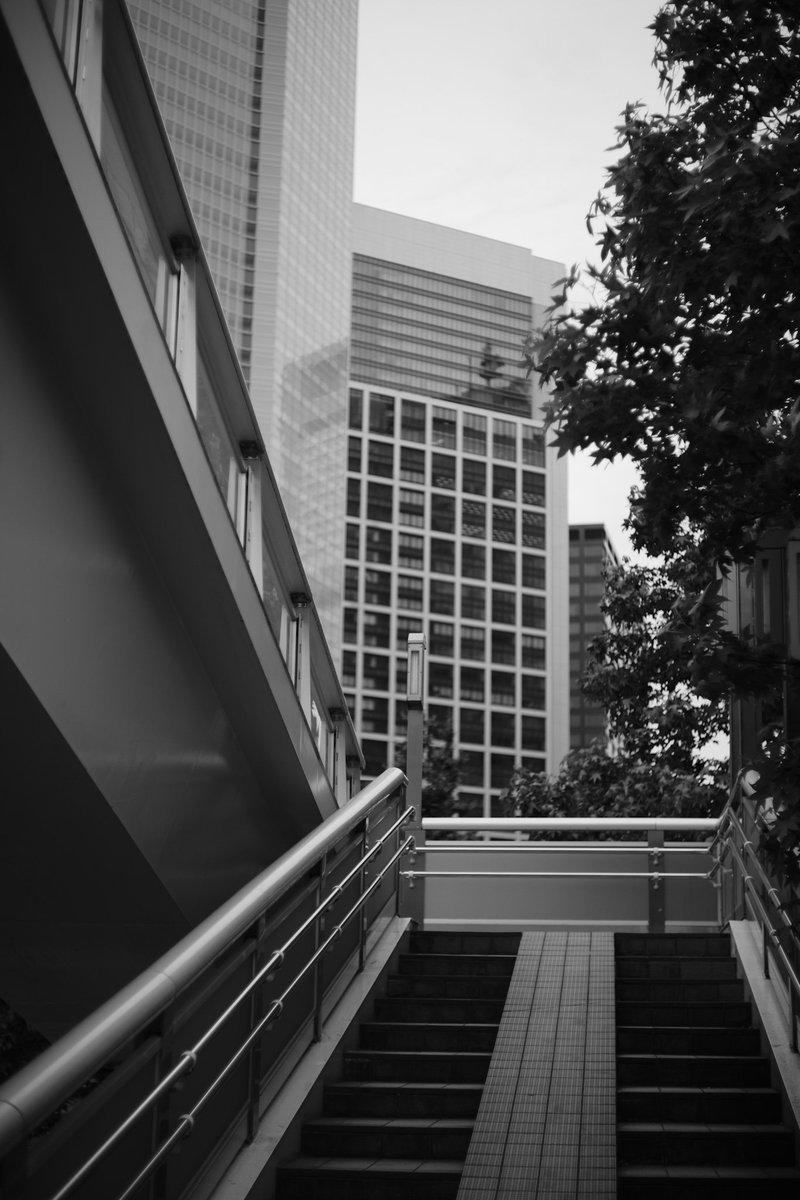 ［Stairs］

Leica M10-D
Summilux 50mm f/1.4 1st