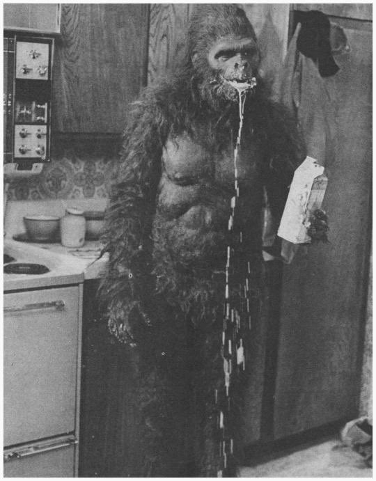 @Gibboanxious “John Landis - SCHLOCK (1973)
#retrohorror”

— @el_zombo