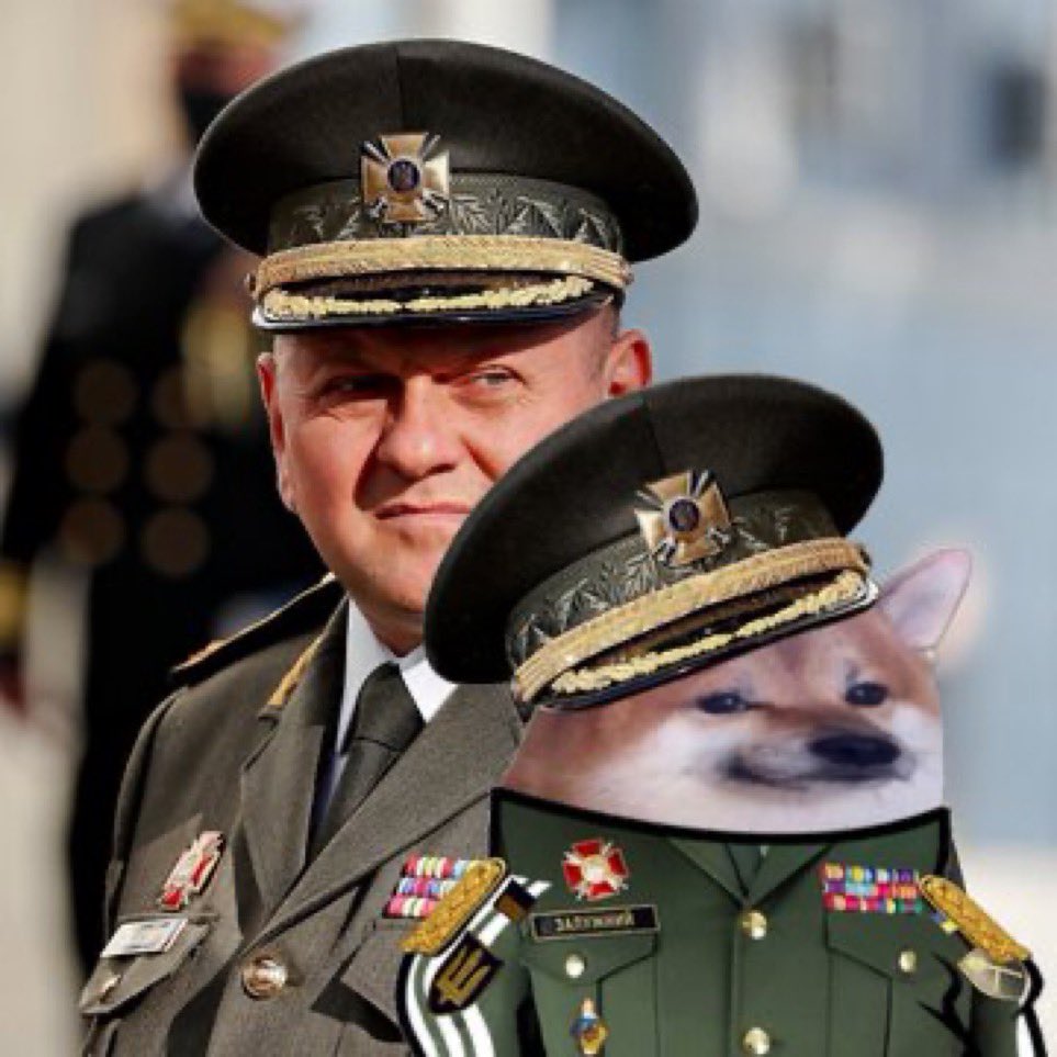 DecodïngTrolls on Twitter "RT DecodingTrolls ⚡️Zaluzhniy to Kyiv