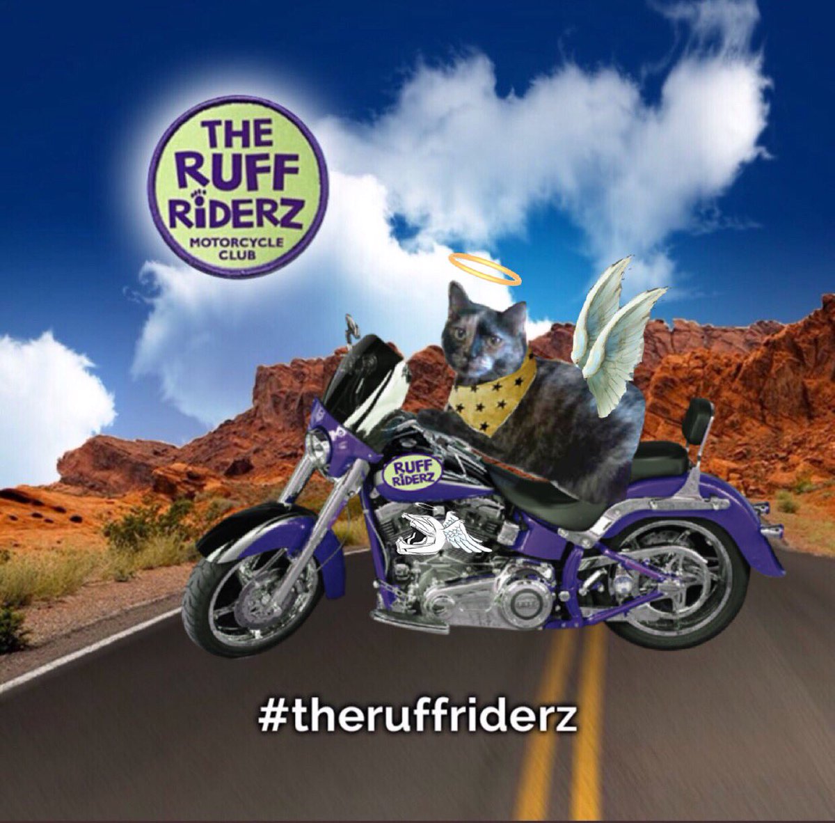 @InokumaT @carrotfiles @ThorSelfies @Ottogingerboy @3coolkatz @debsspencer1 Angel Cinni: Hello Kolohe and Keahi. I haven't been notified by anyone stating they're my team leader for #TheRuffRiderz. I've been one of the #CloudRiderz since going OTRB in December 2018 and I'm not sure if that group is considered a team.