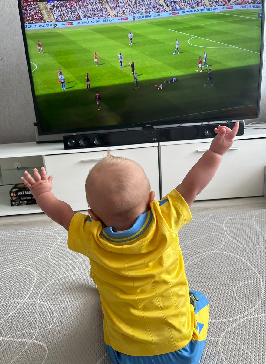 conowl78's tweet photo. My BOI🦉💙 #swfc #wawaw #Championship #onourway https://t.co/lL07UGighL