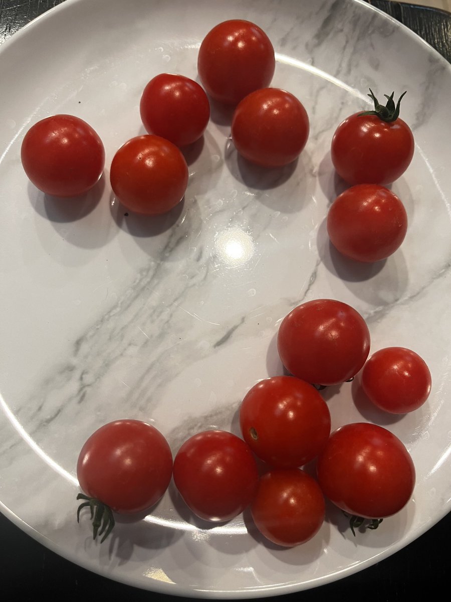 My harvest of cherry tomatoes today!