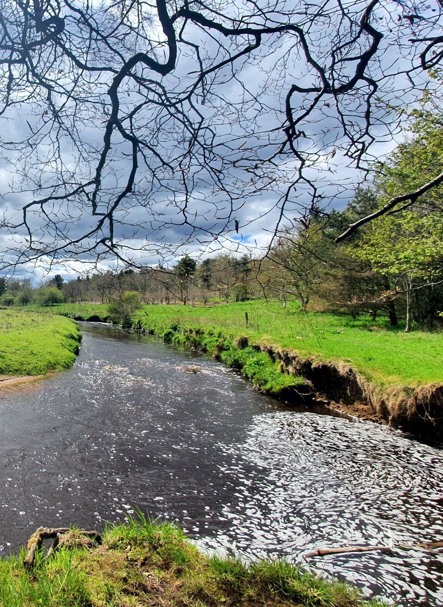 An idyllic stream in West Lothian, Scotland, UK  🏴󠁧󠁢󠁳󠁣󠁴󠁿 🇬🇧