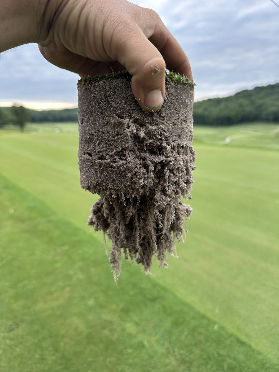 JacobThompsonnn's tweet photo. New putting green is open today, seeded in November. Very happy with it considering the up and down winter we had. 777 is the truth https://t.co/jnQ8mBRjOU