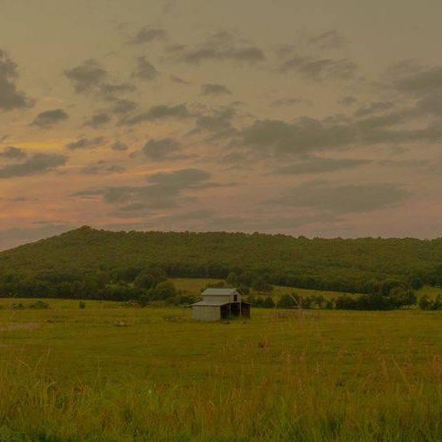 keepitwerdo's tweet image. Pas de voisins, pas de bruit, tranquillité toute la journée.