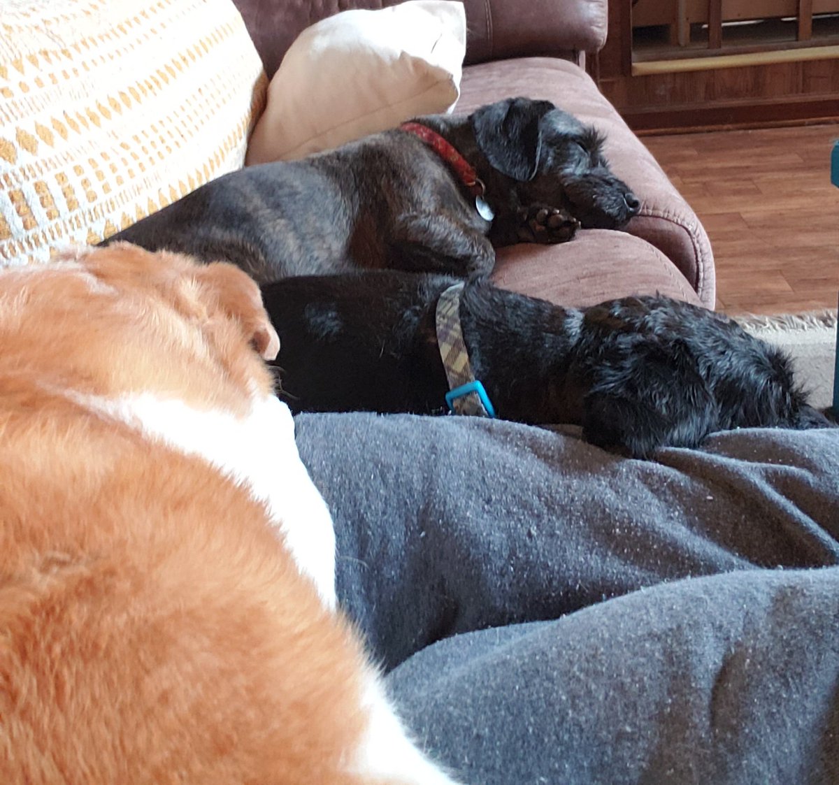 How am I spending my afternoon you ask?...
