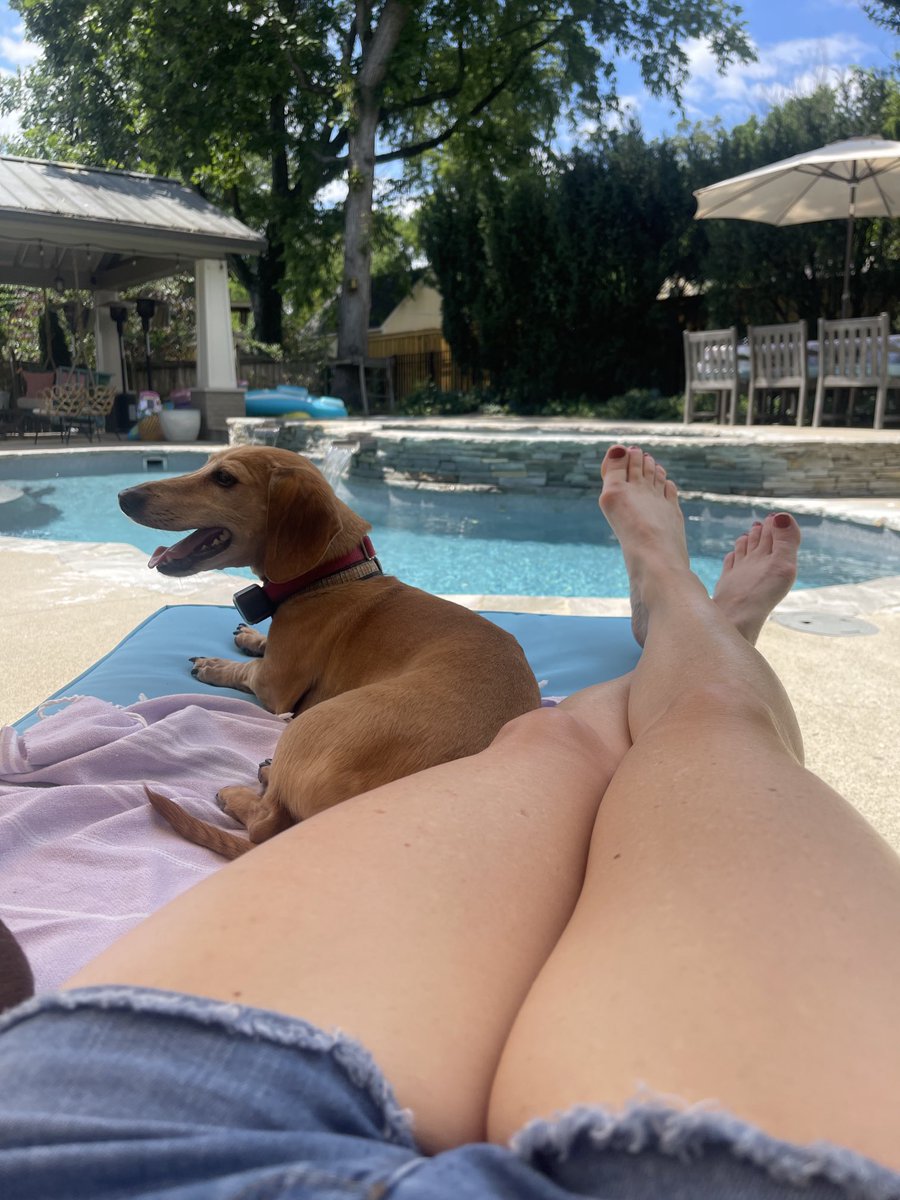 CSawGreen's tweet photo. Remembering everyone who serves and served our country today who make America a free country. Also loving life by the pool with Clyde #thankyouforservice #landofthefree #pooldayswithclyde https://t.co/gfm7R9RnRP