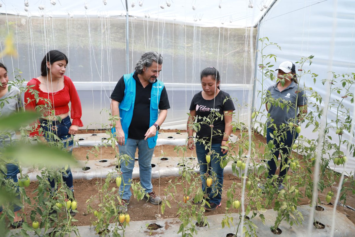 unicefguatemala tweet picture