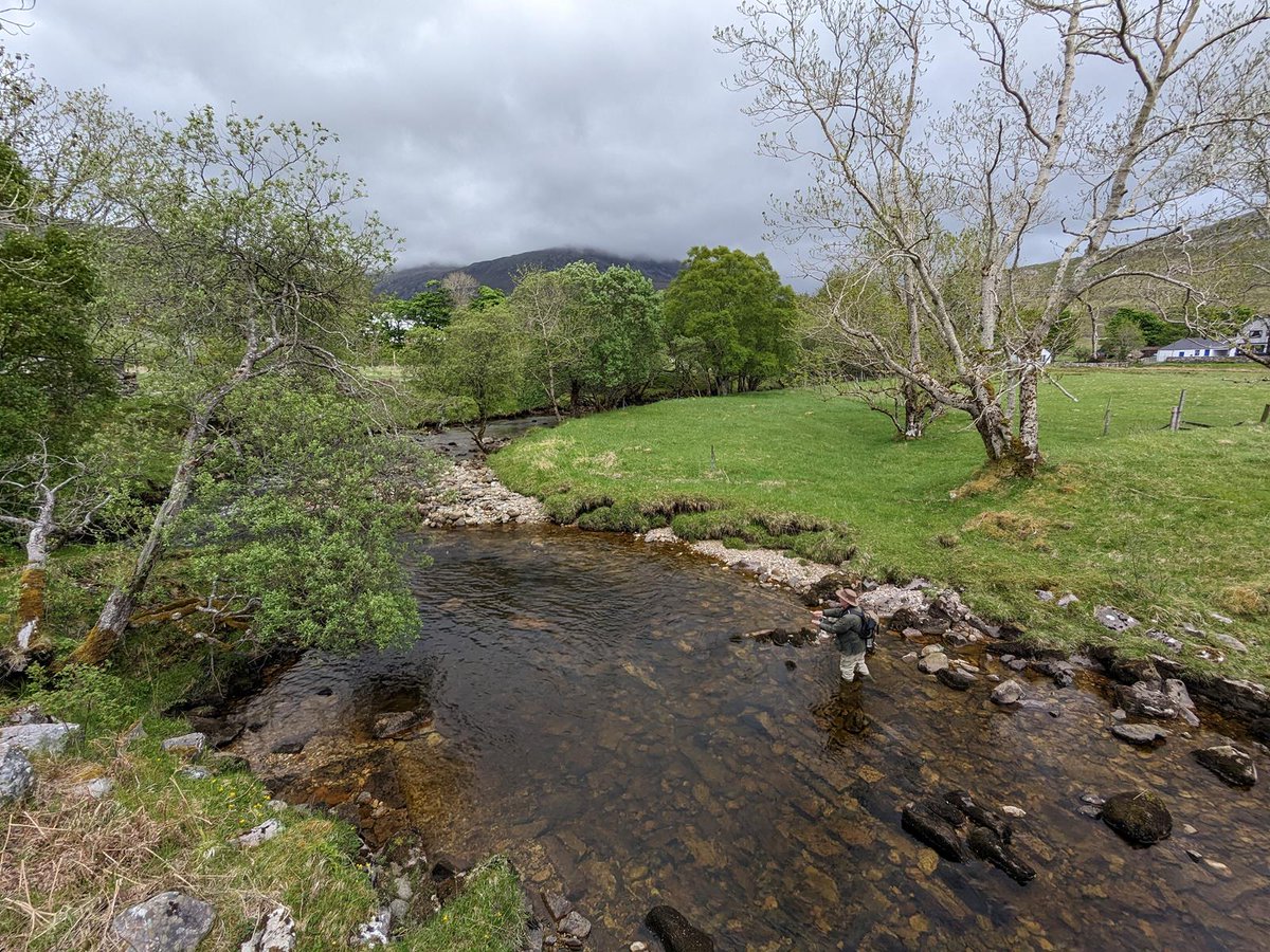 A small stream day last week. After my Canadian family (& fishing) holiday the Assynt guiding is back in full swing. Due to a cancellation a couple of June days are still available! #flyfishing #troutfishing #assynt