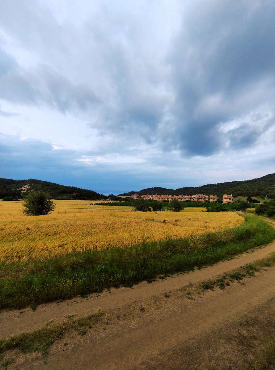 Bir tutam huzur .
Doğa ile baş başa.