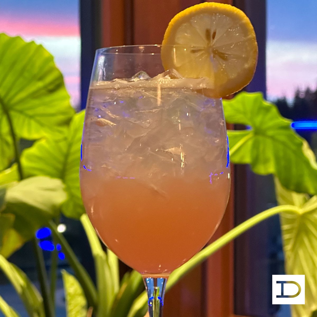 Cool down and refresh by ordering the Grapefruit Elderflower Spritz off of the cocktail menu! 🍹

#Cocktail #CocktailMenu #Menu #Bar #YEGdrinks #YEG