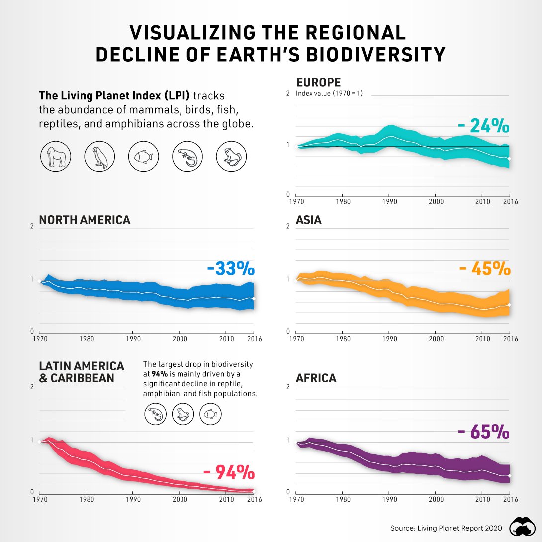 📊 Explore this insightful infographic visualizing the decline of Earth's #biodiversity. 🌍🌿

Via @visualcap

See more here: visualcapitalist.com/earths-biodive…