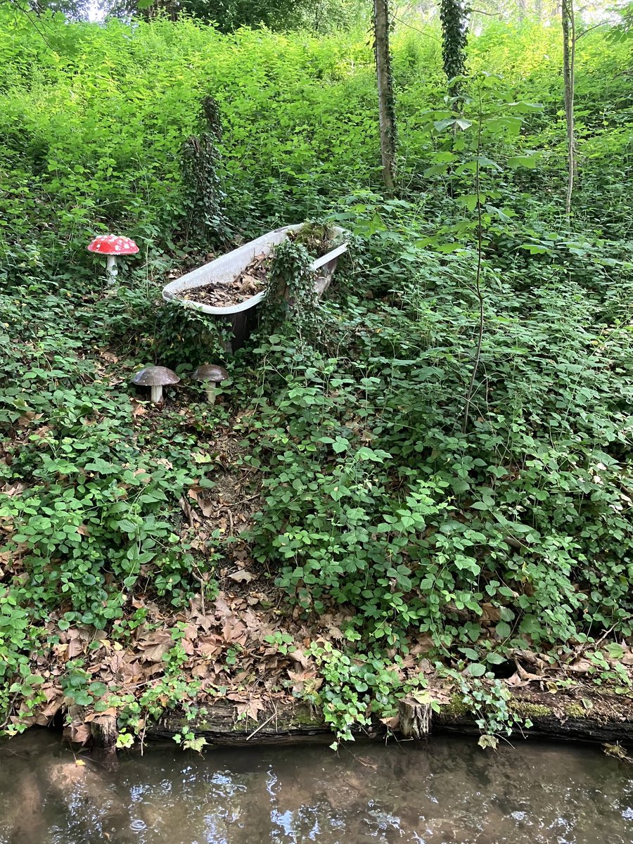 GmurHelen's tweet photo. #Versoix #forest #Nature
#Outside is free
#Mushroom #Bathtub
#Collex-Bossy #Geneva #Countryside
#Cows https://t.co/waRwYsVGiz