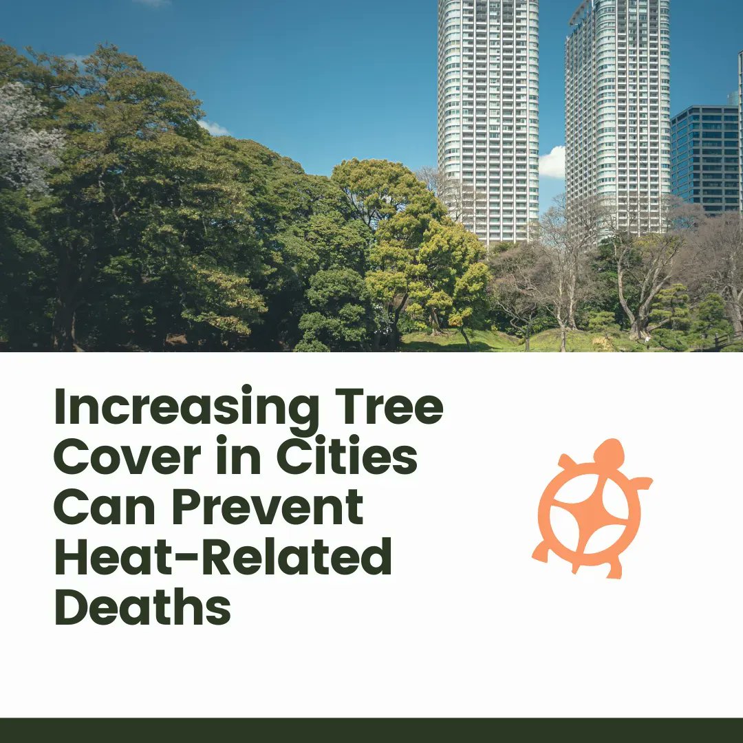 Here at LWP we love trees and value their innate healing properties. A recent study shows that increasing the number of trees in metropolitan areas will lower temperatures and possibly cut the number of deaths directly related to hot weather.

More here: buff.ly/3BQWDny