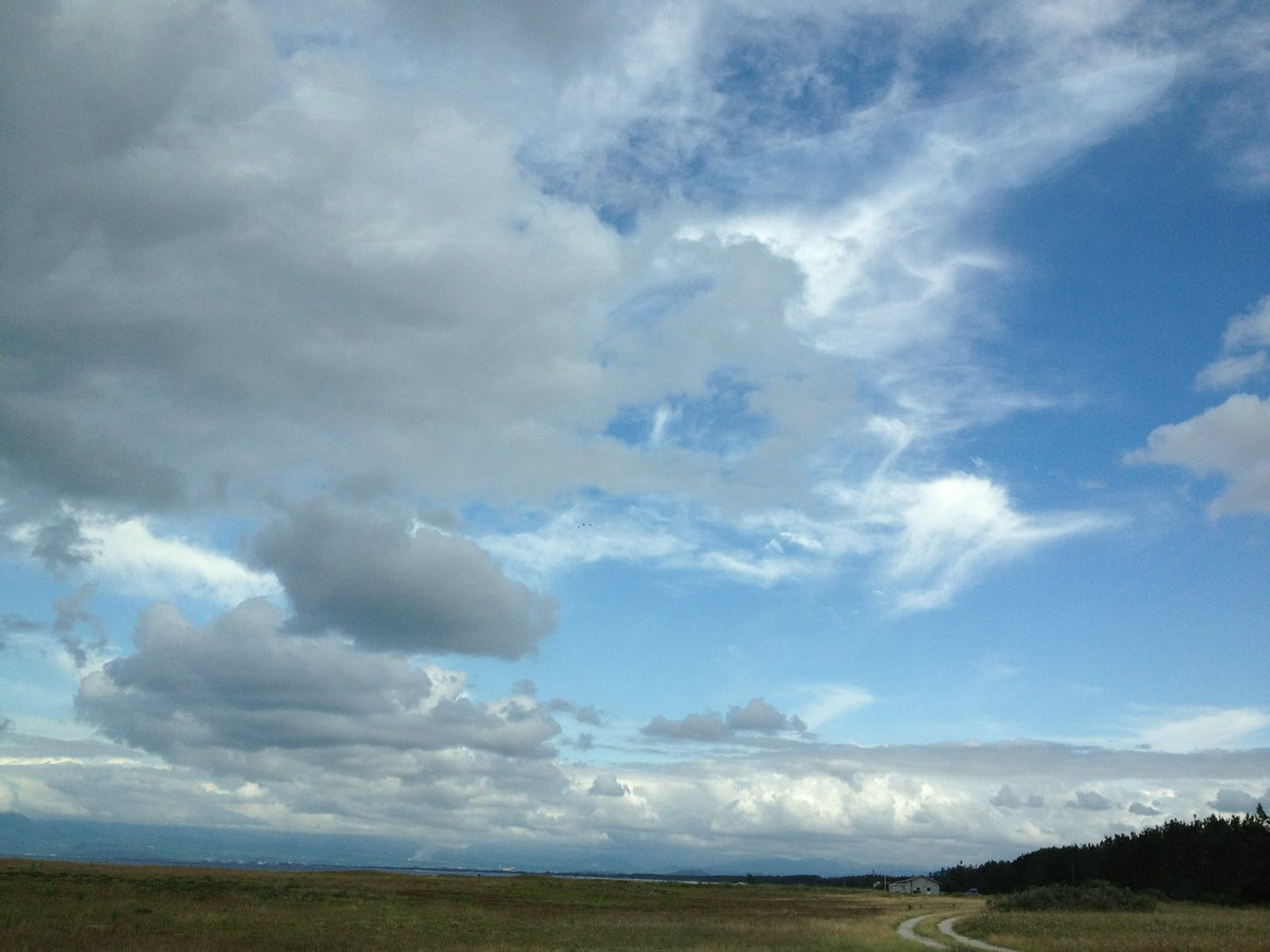 ちゃんP tweet media