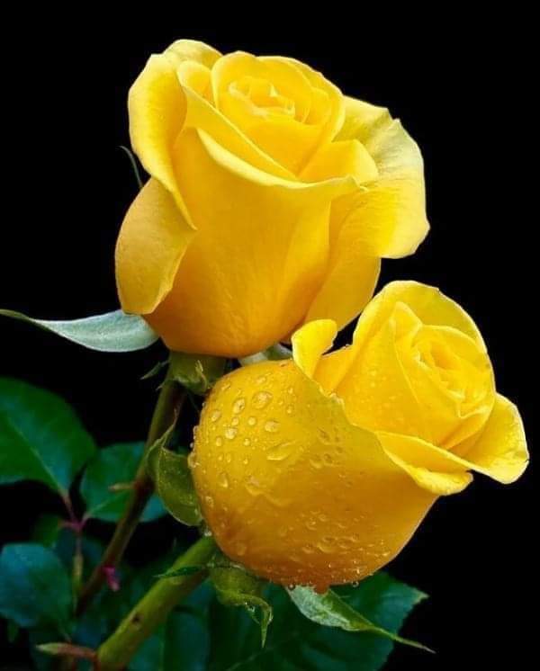 Believe (@chimae_all) on Twitter photo 