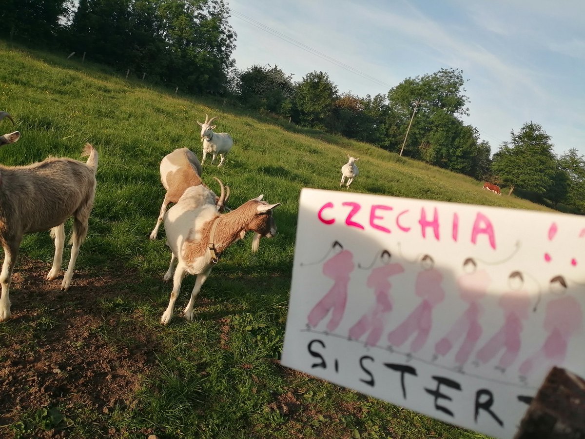 finalshow's tweet image. Fancy and Tom love it!

Thanks @sian_superman  #eurovision #livedraw