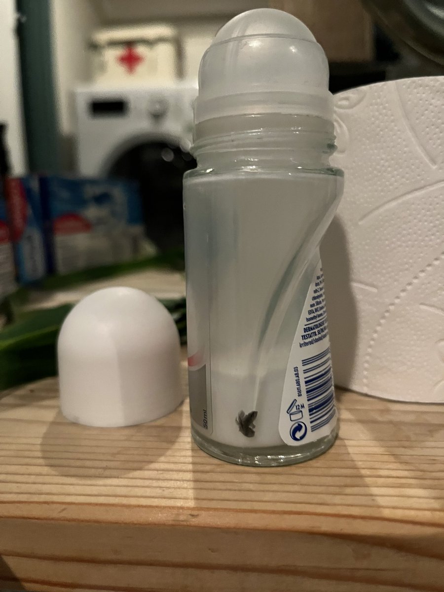 DijkStorme's tweet photo. Kan nogen fortælle mig hvordan fanden det er muligt for et lille dyr at komme ind og dø i en rulledeodorant? #twitterhjerne #twitterdanmark #twittersupport https://t.co/fEtNcpceuS
