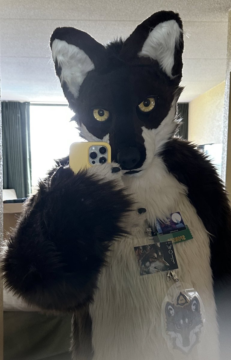 TheMexyWolf's tweet photo. Back from @nomadiconv #Therian #Furry #WolfDad #Fursuit #Nashville https://t.co/kFJTa3bmMy