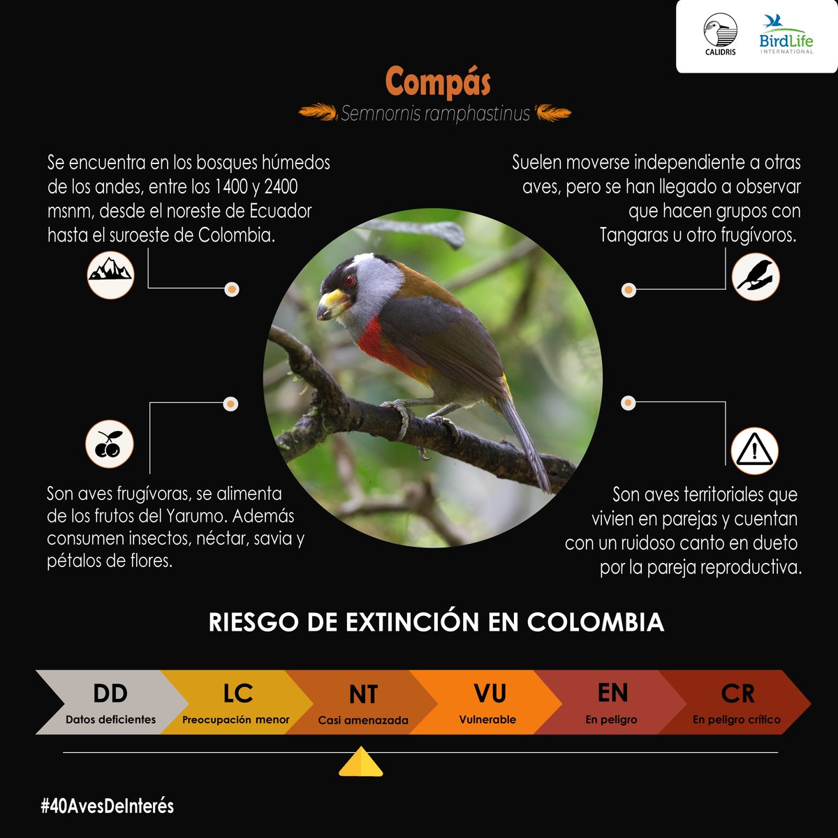 Asociación Calidris tweet media
