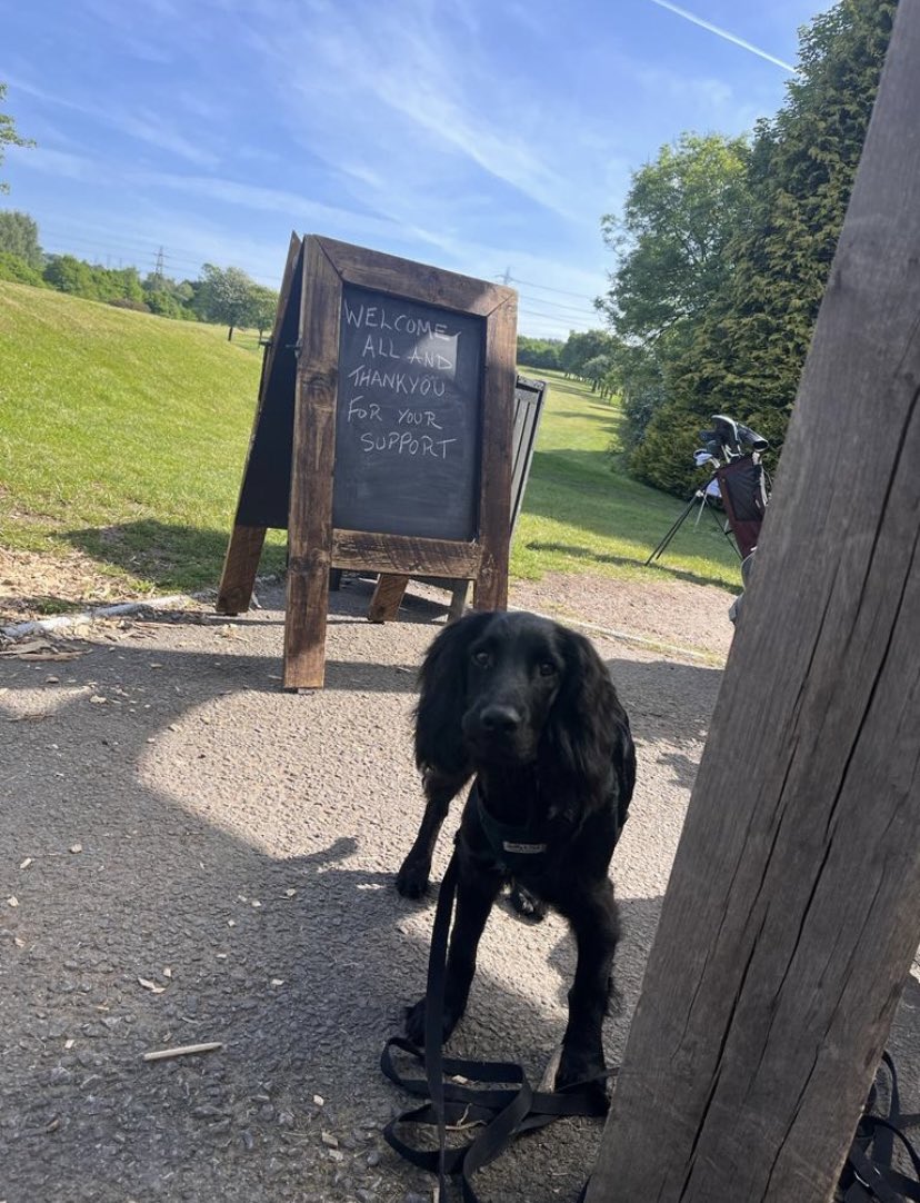 Amazing support &amp; feedback today, 🙌🏽👏🏼 Hard work paying off <a href="/Breightmetgc/">Breightmet Golf Club</a> #GreatDay #Fun&amp;Laughs #BusyDay Thank you all 🫶🏽 

Results posted soon………… 🏆⛳️