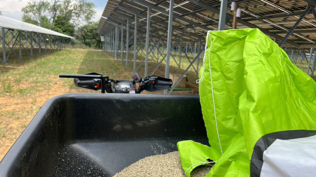 davelefr's tweet photo. [expérimentation]
Dans la continuité de notre retour d’expérience sur le site de #Mitra d’Eléments, 2 mélanges prairiaux et de la luzerne pour cette année.

#agrivoltaics #agrivoltaisme #agrivoltaique #ovin #prairie #luzerne https://t.co/TcA8HBngFi
