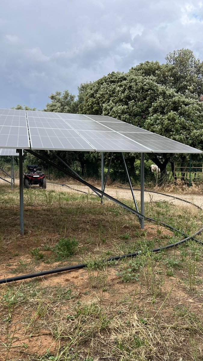davelefr's tweet photo. [expérimentation]
Dans la continuité de notre retour d’expérience sur le site de #Mitra d’Eléments, 2 mélanges prairiaux et de la luzerne pour cette année.

#agrivoltaics #agrivoltaisme #agrivoltaique #ovin #prairie #luzerne https://t.co/TcA8HBngFi