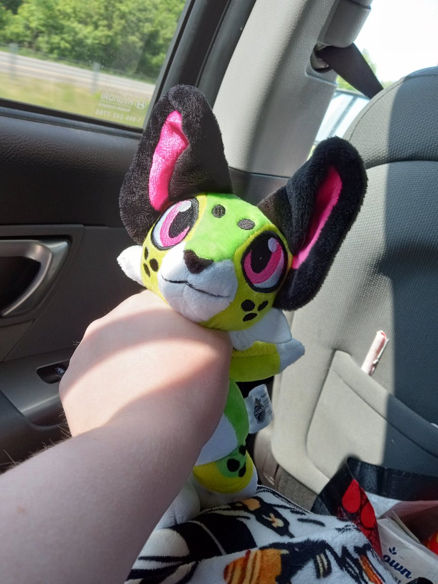 fennecfoz's tweet photo. On my way home, look at this Palm plush I got! From @ParadoxPins And yes this is how I show off my plushies https://t.co/P11ByvpQfO
