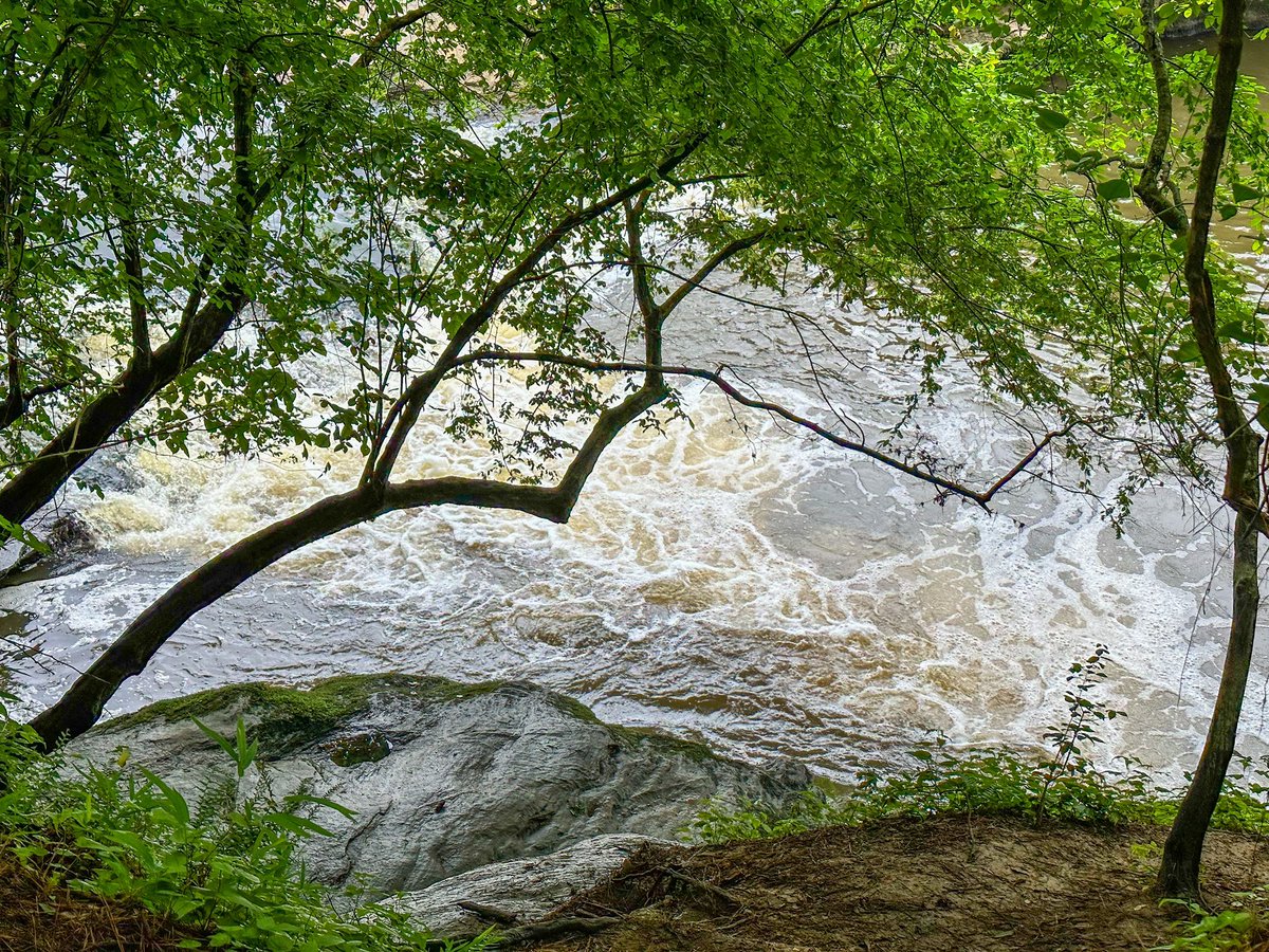 DrManisitDas's tweet image. Went back to Raven Rock State Park after 7 years 

#ravenrockstatepark #ravenrock #ncstateparks #ncparks #publiclands #optoutside #outdoors #memorialdayweekend @NCparks
