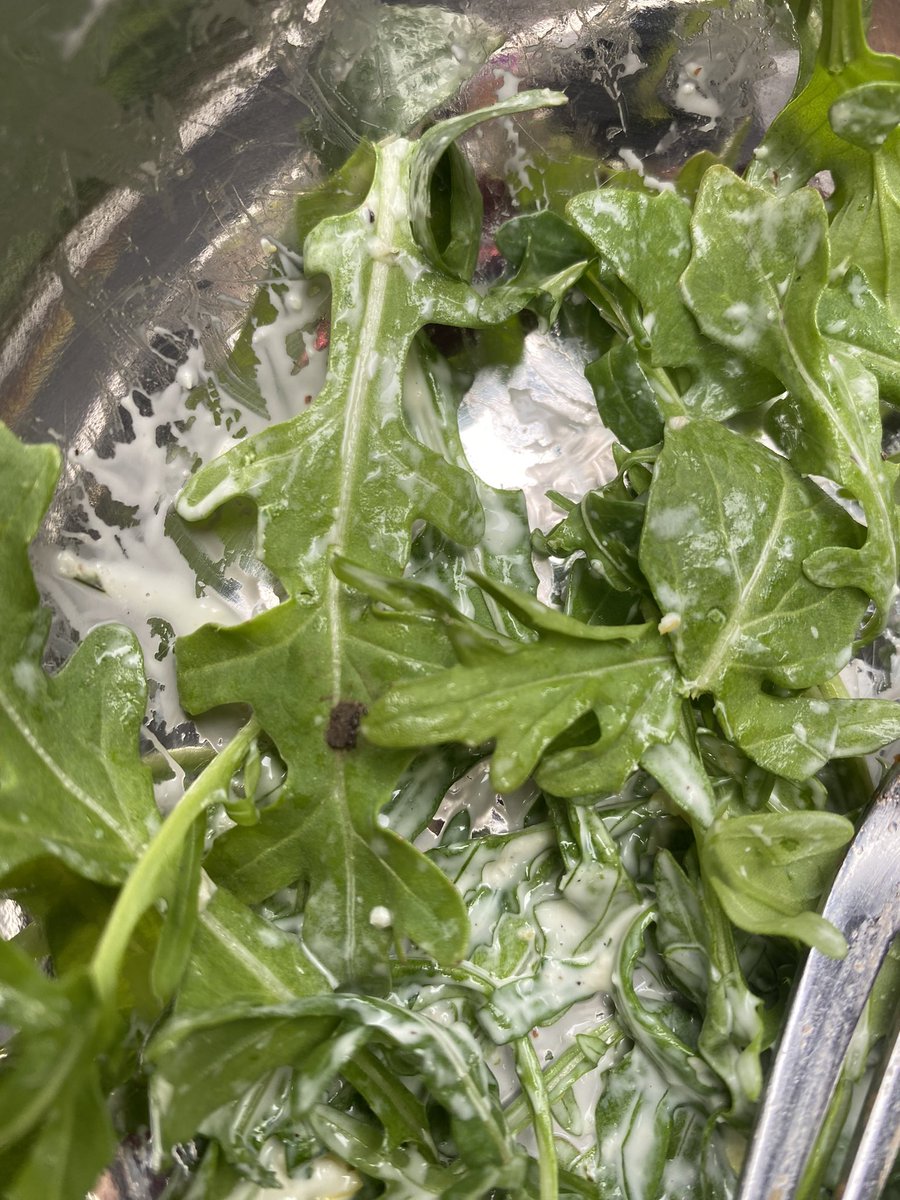 astridthegrape's tweet photo. @Melony_29 Disney also gave me an arugula salad with dirt <\3 https://t.co/DVLQyi9Qji