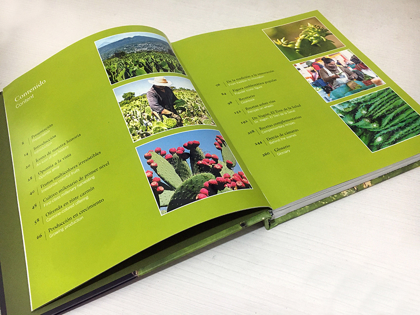 misionconecta's tweet photo. Estamos súper contentas de que el libro de Nopal que escribimos para FGM ganó el premio internacional Gourmand. ¡De México, ganamos junto con Larousse y dos más! 💪 https://t.co/diBzlCMSpY