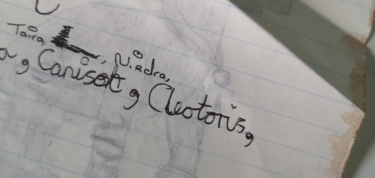 DieStephztar's tweet photo. Going by some of the stuff on this page I must have been around year 7/8. But surely this wasn't an actual name I was considering for a story https://t.co/H36tPWrA1Q