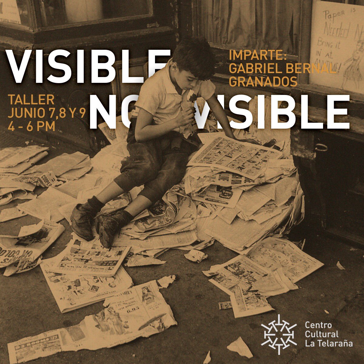 Zopilote Rey tweet media