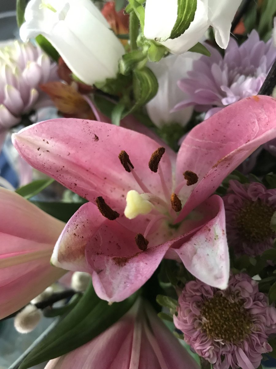 JCurtinVA's tweet image. Happy to share that I have submitted #poems for possible publication in journals. Hopefully, they will get accepted. #5amwritersclub #submitted #amwriting #editing