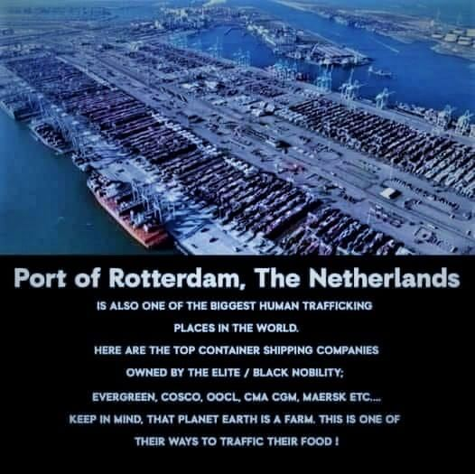 ROTTERDAM IS ALSO ONEOF THE BIGGEST HUMAN TRAFFICKING PLACES IN THE WORLD HERE ARE THE TOP CONTAINER SHIPPINGCOMPANIES OWNEDBY THE ELITE BLACK NOBILITYEVERGREEN COSCO.OOCLCMA CGM MEARSK ETC KEEP IN MIND THAT THE PLANET EARTH IS A FARM THIS IS ONEOF THEIR WAYSTO TRAFFICTHEIR FOOD