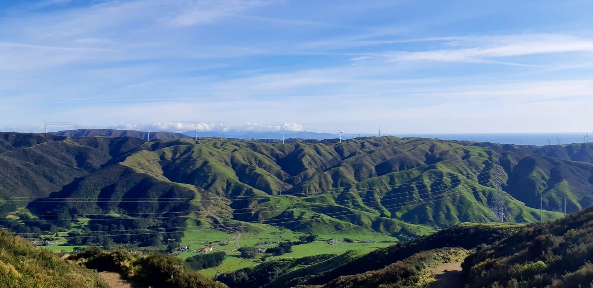 GerrieGreyling's tweet photo. Turned out to be a pretty fine Sunday to slide down a mountain. #MadMakara #xterra #Wellington @XterraWgtn https://t.co/Dy4cr7tC65