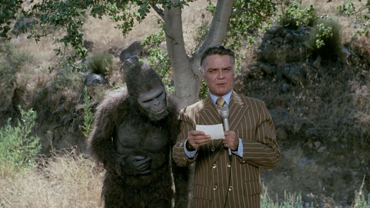 Stephen Gibbons on Twitter "Schlock ★★½ As gorilla suit movies go, 