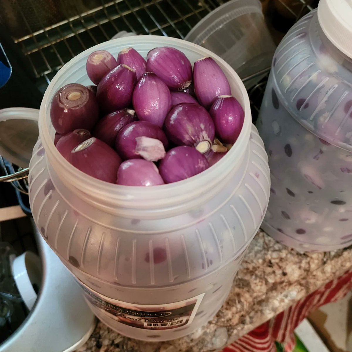 hellgaskitchen's tweet photo. Balsamic pickled pearl onions. Don't mind if I do! #Hellgaskitchen https://t.co/r70Bjxn43V