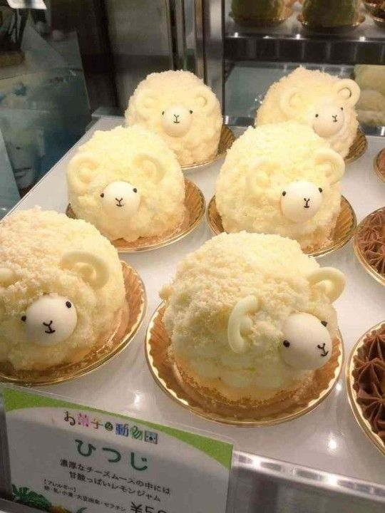 Thinking about sheep cakes