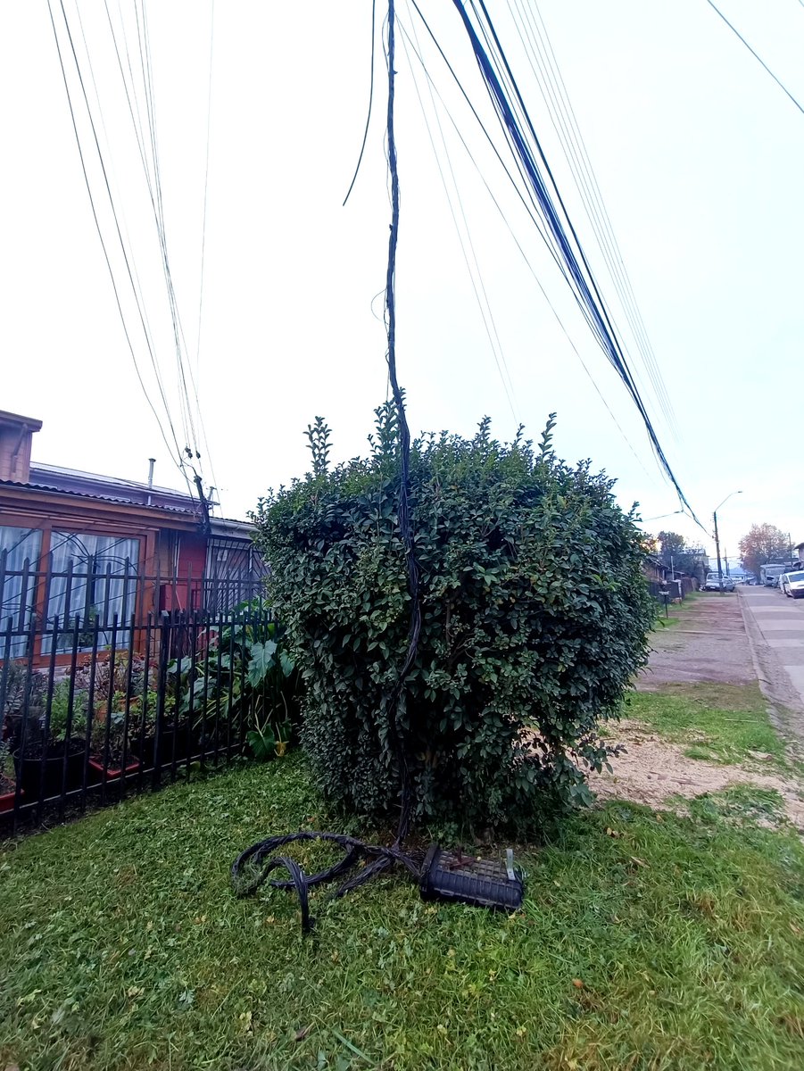 rodvilugron's tweet photo. Amigos de @Telsur, esto lleva varios dias tirado en calle San Andrés en #valdiviacl, es de ustedes? Se podrá gestionar el retiro? https://t.co/f1P33MNri3
