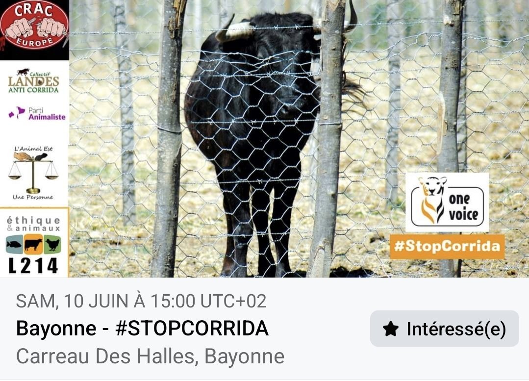 Animal1Personne's tweet photo. MANIFESTATION ANTI-CORRIDA / Nous vous attendons nombreuses et nombreux le 10 juin à #Bayonne et partout en France. L'Animal est une Personne sera a Bayonne aux côtés de @onevoiceanimal Pyrénées-Atlantiques, @CRAC_Europe (@Lisa40_64) ,  #CracEurope, @LandesAntiCo, #StopponsLaCorrida, @L214, @stopcorridaFR, #PartiAnimaliste ! Stoppons ensemble cette barbarie qu'est la #Corrida !
Lien de l'événement à @VilleDeBayonne : https://t.co/2FQtS6Q7sX
-Partout en France :
https://t.co/XYzOQipi5D
