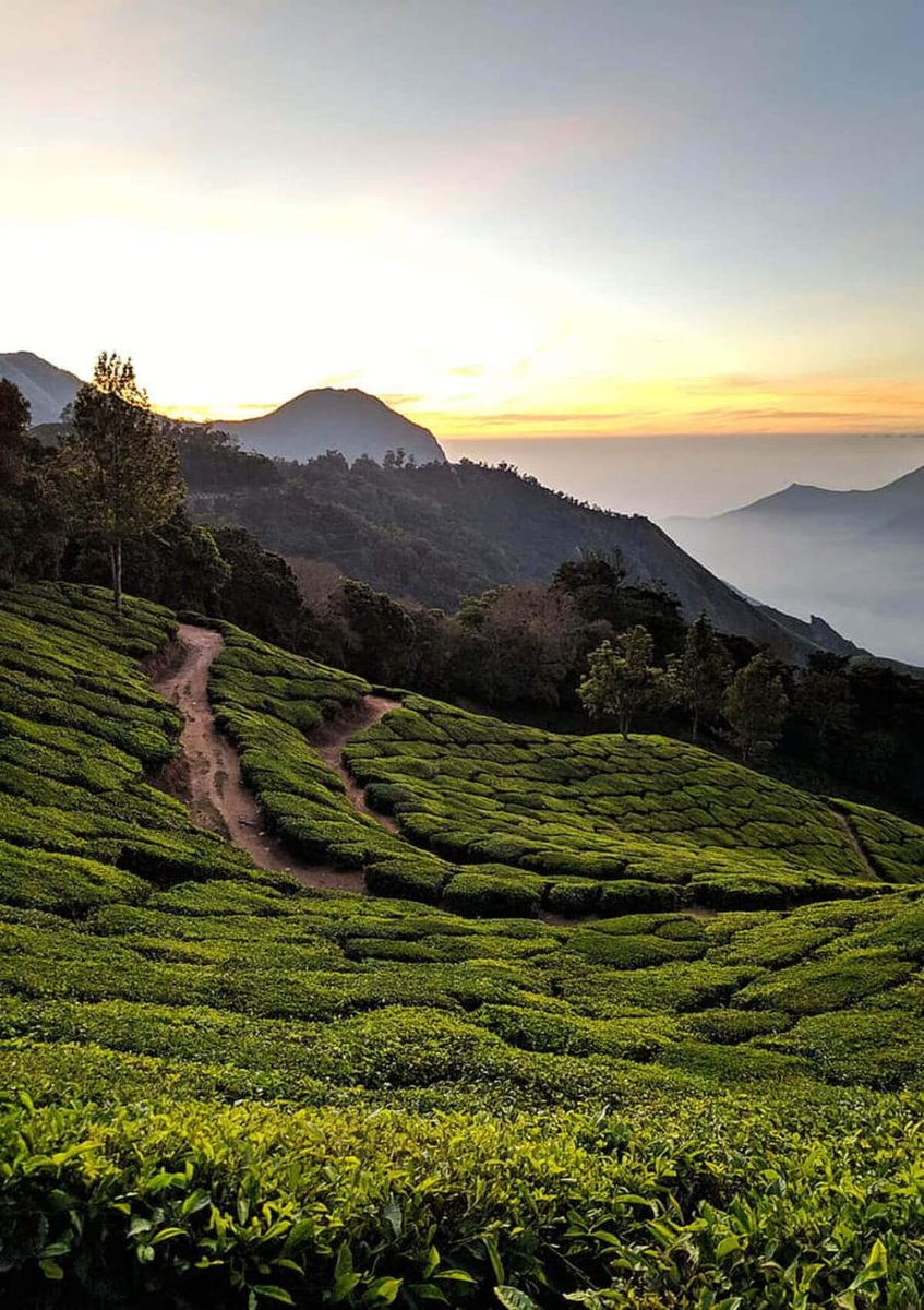 colossuslife's tweet photo. "Nature's masterpiece unveiled! Behold the breathtaking green hill embracing the evening's gentle kiss of sunset hues. Let your spirit soar amidst this picturesque paradise, where tranquility meets awe-inspiring beauty. πΏπ
#Nature'sEmbrace #EveningSplendor #SereneSunset" https://t.co/kLRrx7TqaD