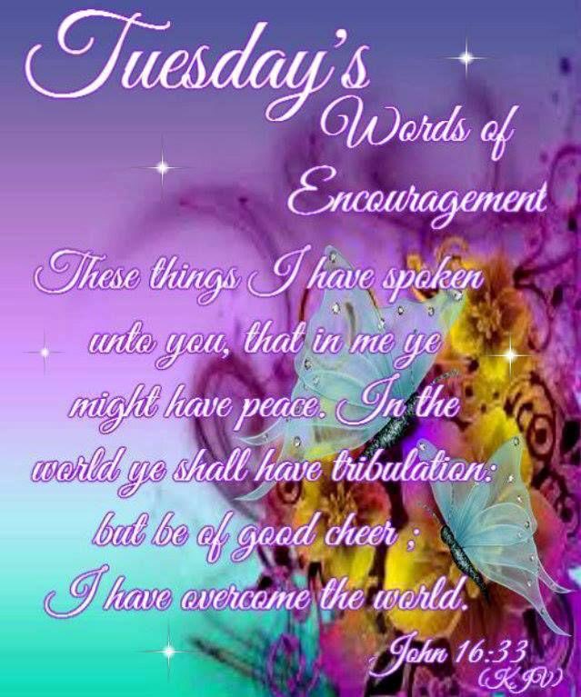 #TuesdayBlessings #TwitterFriends 💛Have A Blessed Tuesday!